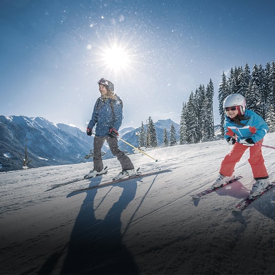 Ski im Harmls