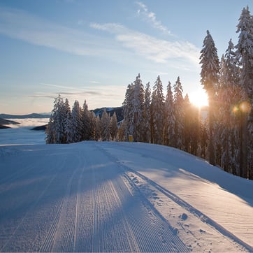Head_ski-amade-landschaft-und-misc-20-830
