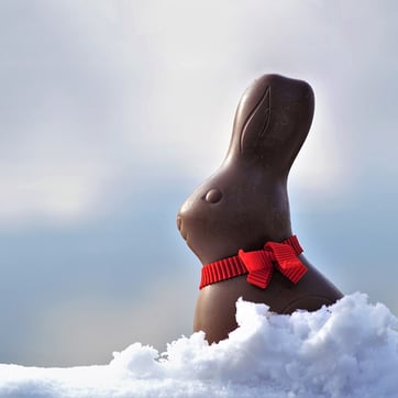 hare-3096772_830